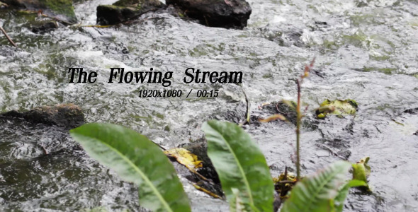 The Flowing Stream 5