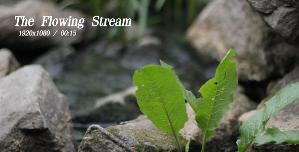 The Flowing Stream 8