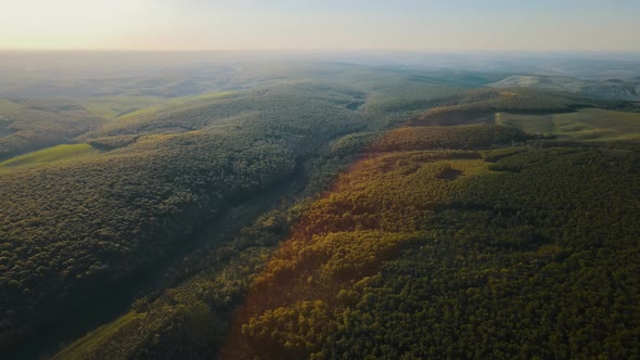 Aerial View of Forest in USA at Sunrise