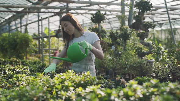 Happy Female Florist in Apron Watering Houseplants and Flowers