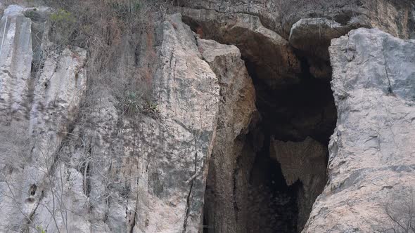 Medium Exterior Shot of Thousand of Bats Flying Out From a Cave