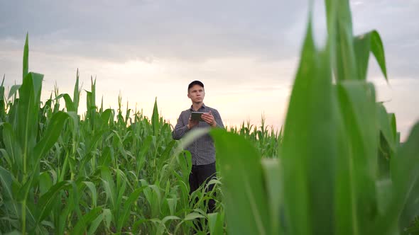 Young Farmer Using a Tablet PC Front View on Modern Farmer