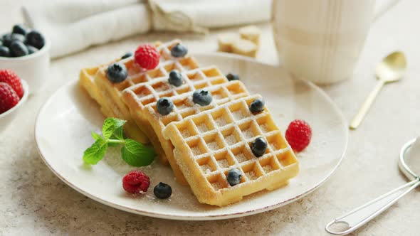 Waffles and Berries on Plate