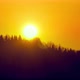 Big Sun Seting Sun to Silhouette Forest Minimalist Clean Shot - VideoHive Item for Sale