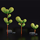 Low Poly Tree Pack - 3DOcean Item for Sale
