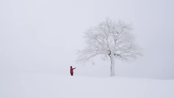 Fantastic Landscape with Snowy Tree