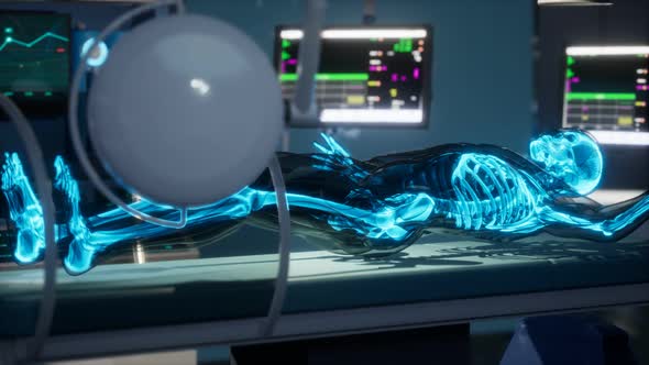 Human Skeleton Bones Scan Exam in Lab alt