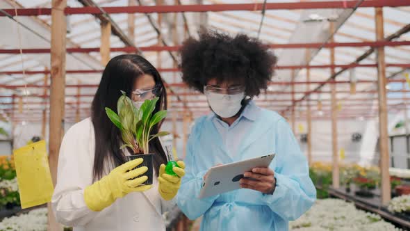 Multi Ethnic Young Scientists Working in Greenhouse or Lab