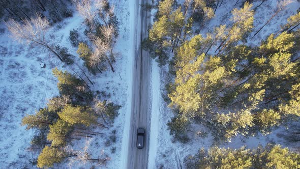 Black Crossover Car On A Winter Forest Road
