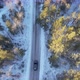 Black Crossover Car On A Winter Forest Road - VideoHive Item for Sale