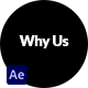 Why Choose Us - VideoHive Item for Sale