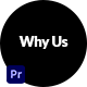 Why Choose Us - VideoHive Item for Sale
