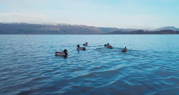 View Of Loch Lomond