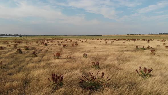 The floodplain area of the Vistula River