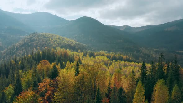 Mountains Forest Autumn Valley Tree Sun Colorful Park