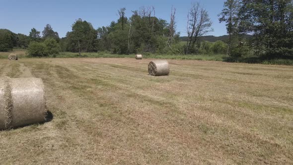 Many bales of hay on the field