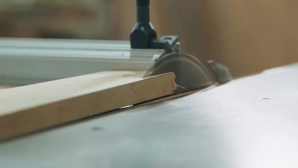 Sawing Wood on a Woodworking Machine