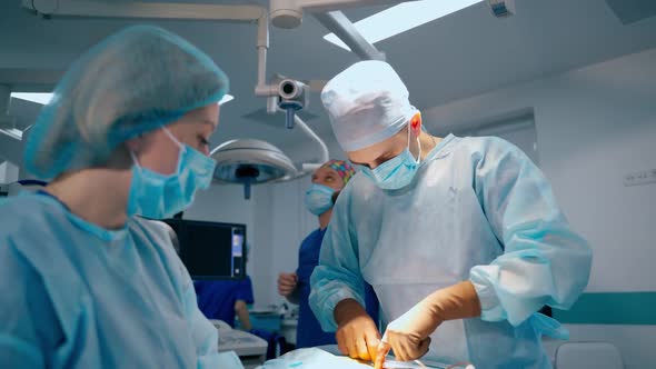 Doctor and assistant performing an operation in modern operating room