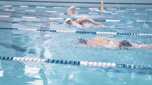 Group of Young Male Athletic Professional Swimmers Having Training Crawl at Waterpool