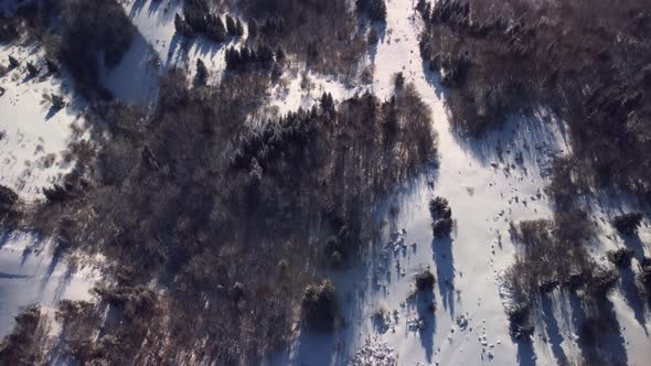 Aerial View of Winter Snowy Landscape in the Forest