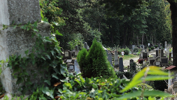 Graves in Cemetery View
