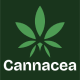 Cannacea - Medical Marijuana Elementor Template Kit - ThemeForest Item for Sale