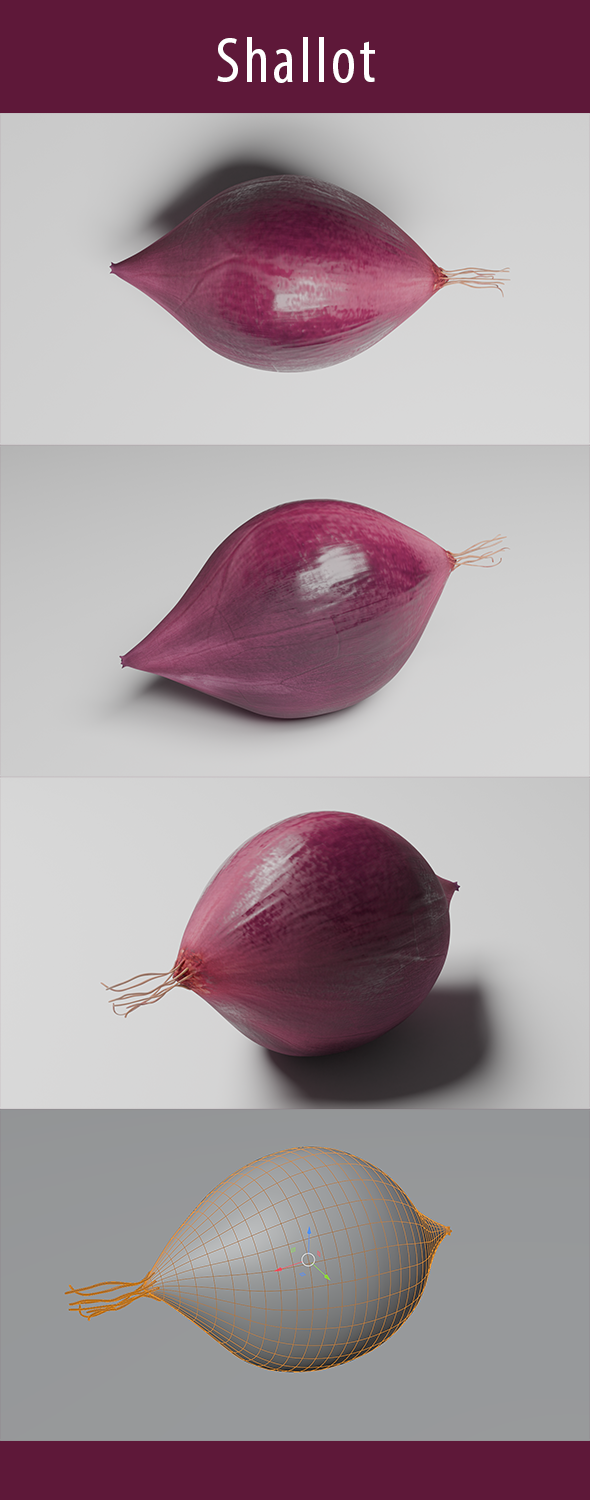 Shallot 3d Model