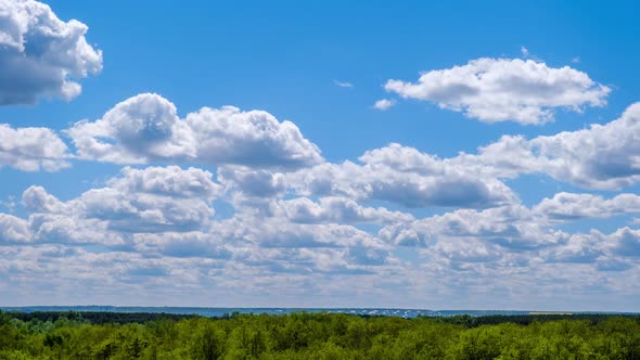 Timelapse of Cumulus Clouds Moving in the Blue Sky Over the Green Horizon Trees