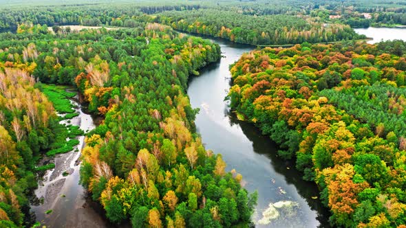 Aerial view of autumn forest and turning river, Poland
