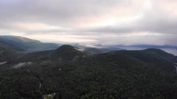 Landscape covered in trees in Maine USA