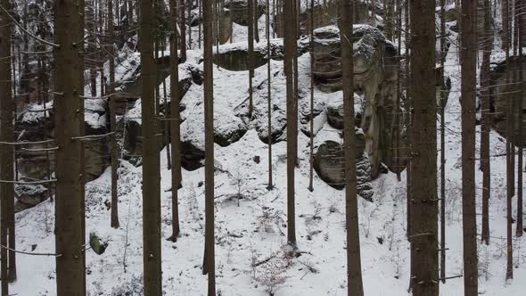 Drone shot of a winter forest in the Bohemian Paradise in the Czech Republic 