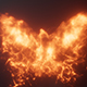 Flame Phoenix Intro - VideoHive Item for Sale