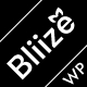 Bliize - Multipurpose Architecture WordPress Theme - ThemeForest Item for Sale