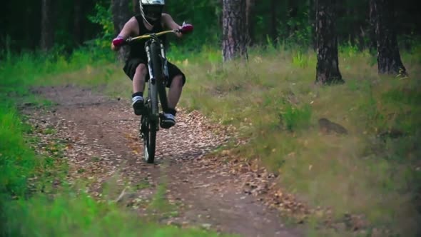 Downhill Bike Wheeling  alt