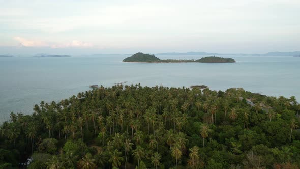 beautiful tropical islands in Thailand with field of coconut trees during sunset, aerial