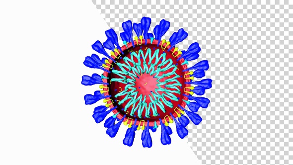 Corona Virus Covid 19 Intersection V3