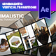Minimalistic Vertical Transitions - VideoHive Item for Sale