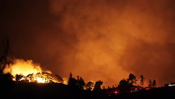 Large Forest Fire At Night