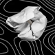 Stylish Paper Fold Reveal | MOGRT Animation for Premiere Pro - VideoHive Item for Sale