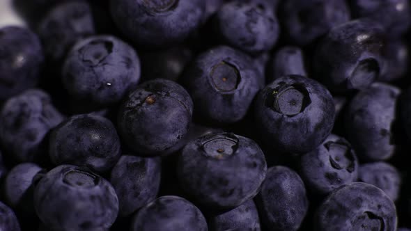 blueberry berries closeup background for cooking fruits summer