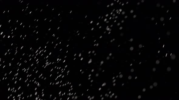 Floating Miniature Specks of Dust Are Soaring on Black Background.