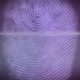Fingerprint Scan - VideoHive Item for Sale