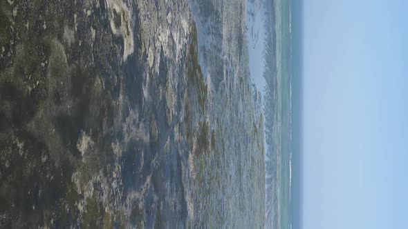 Vertical Video of Low Tide in the Ocean Near the Coast of Zanzibar Tanzania Aerial View