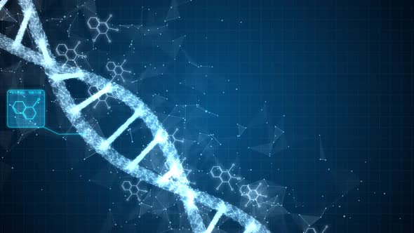 Digital DNA Construction
