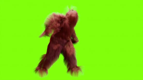 Hairy Monster Dancing clip isolated. loop animation, house dance,