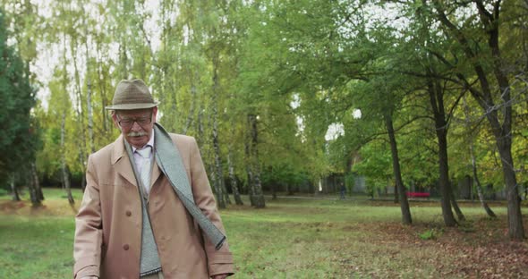 Lonely Old Grandfather Walking on Park Lawn with Maple Leaf in Hand