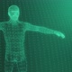 Human Body Mesh - VideoHive Item for Sale
