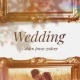 Wedding Golden Frame Gallery - VideoHive Item for Sale