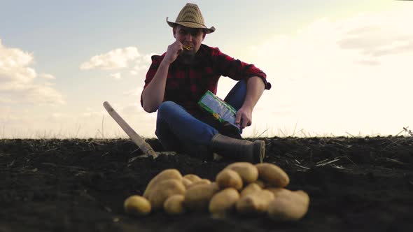 Potato Harvesting Concept