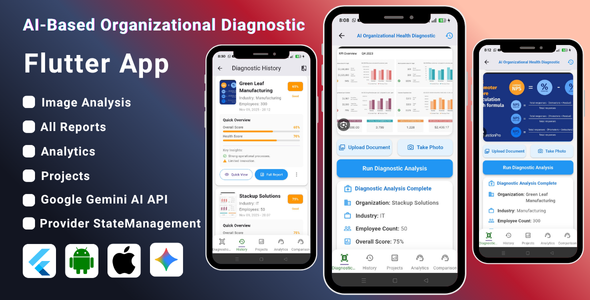 AI-Based Organizational Diagnostic Flutter App | Business Health & Performance Analysis